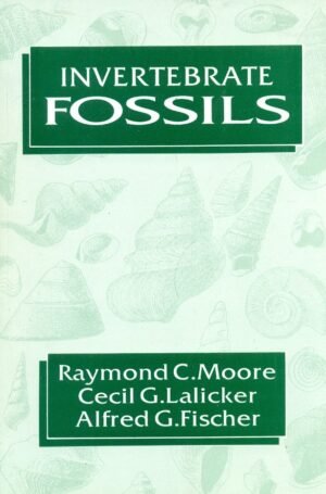 Invertebrate Fossils